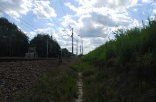 S01_0387.NEF