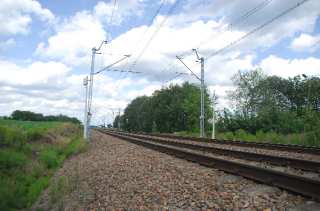 S01_0389.NEF