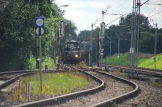 S01_0394.NEF