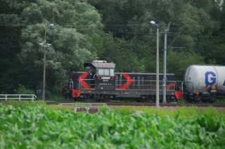 S01_0437.NEF